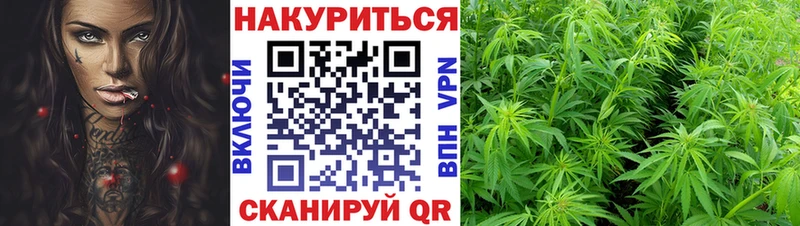 Канабис Ganja Власиха